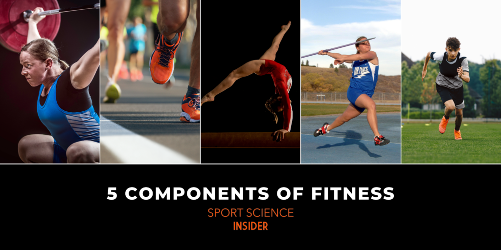 5 Components of fitness