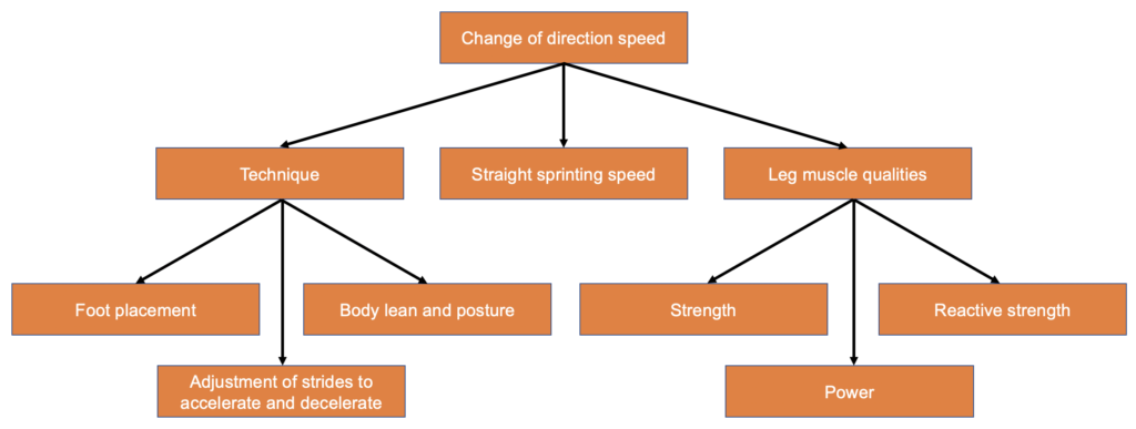 A deterministic model for agility with technique, sprint speed and leg muscles quality making up change of direction speed.