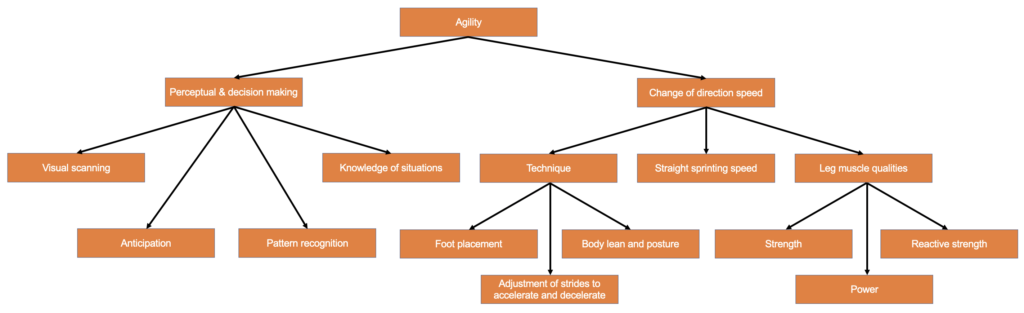 The deterministic model of agility performance 