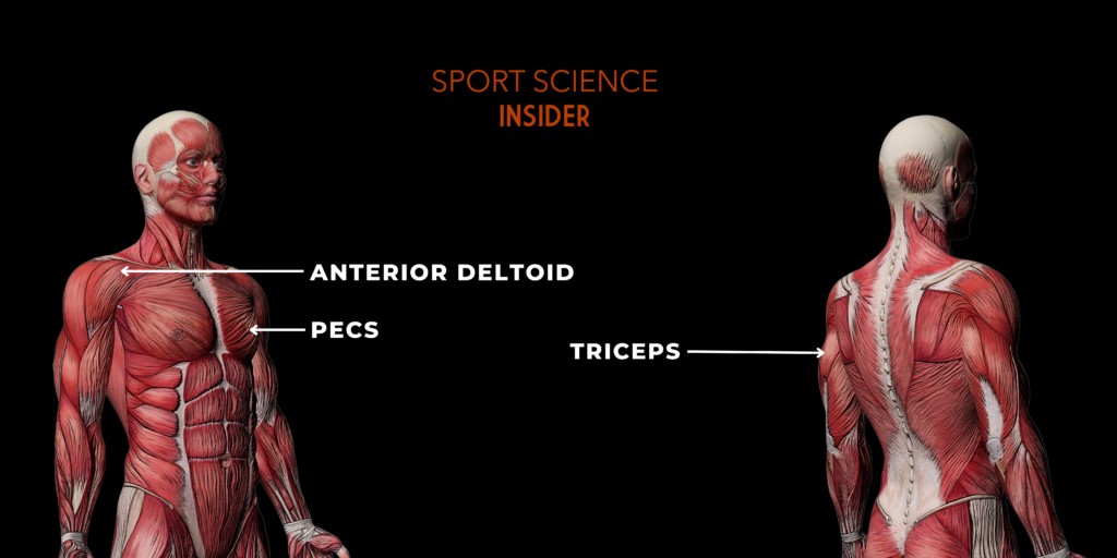 Overhead press vs. Bench press: Unveiling the Superiority for each