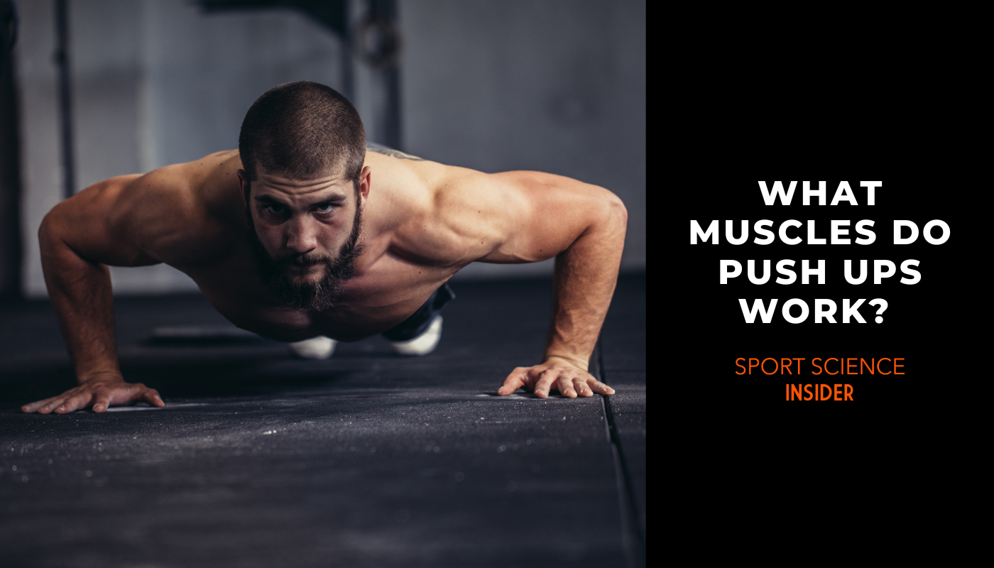 Article title for what muscles do push ups work
