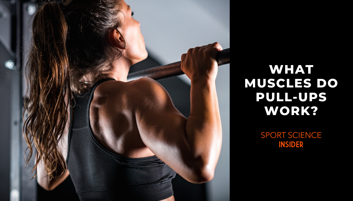 what muscles do pull-ups work article title