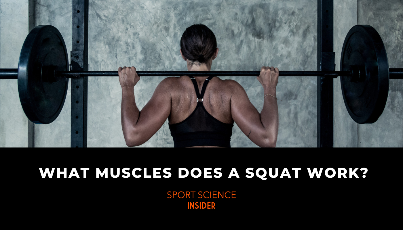 Article title for what muscles squats work