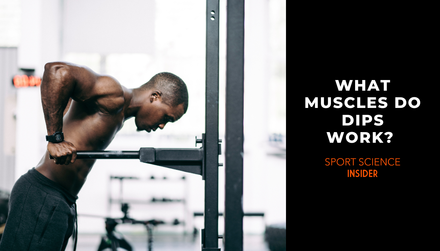 What muscles do dips work?
