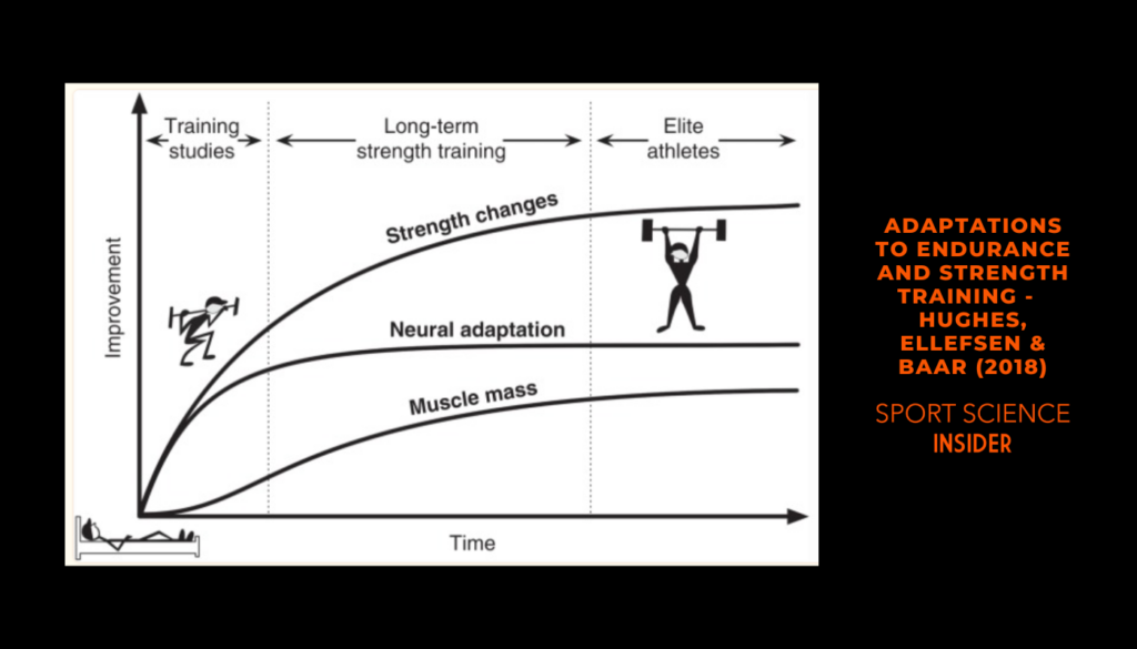 Graph of strength adaptations of 8-12 weeks (adaptations to endurance and strength training by huges et al (2018))